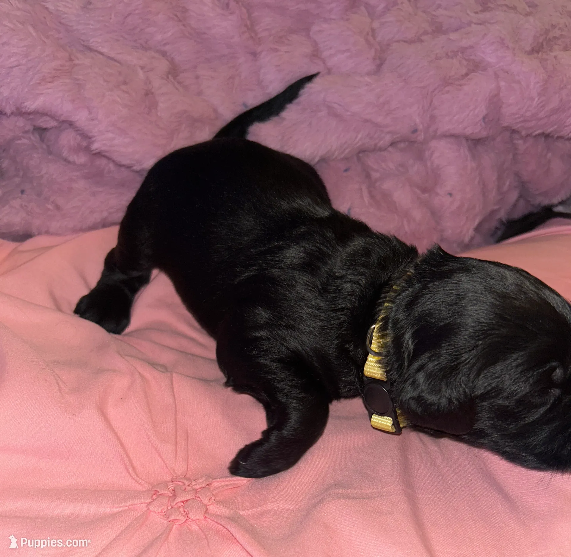 processed/4adb4224-fc1c-4573-b27a-51ac5e453fba/listing/548f6583-5464-4d87-b75a-4af7e6ddf145/76d5c1eb-2333-4b70-aca2-a48bdad71b62