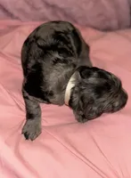 processed/4adb4224-fc1c-4573-b27a-51ac5e453fba/listing/549c8155-4eb6-4031-9c7c-2387c1a2c8c7/58dd775f-d587-411e-bc0a-090d96068767