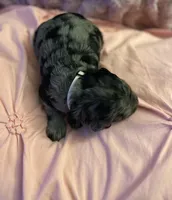 processed/4adb4224-fc1c-4573-b27a-51ac5e453fba/listing/549c8155-4eb6-4031-9c7c-2387c1a2c8c7/b6cfe57a-6daa-48fe-a0d6-0c34910b7dd4