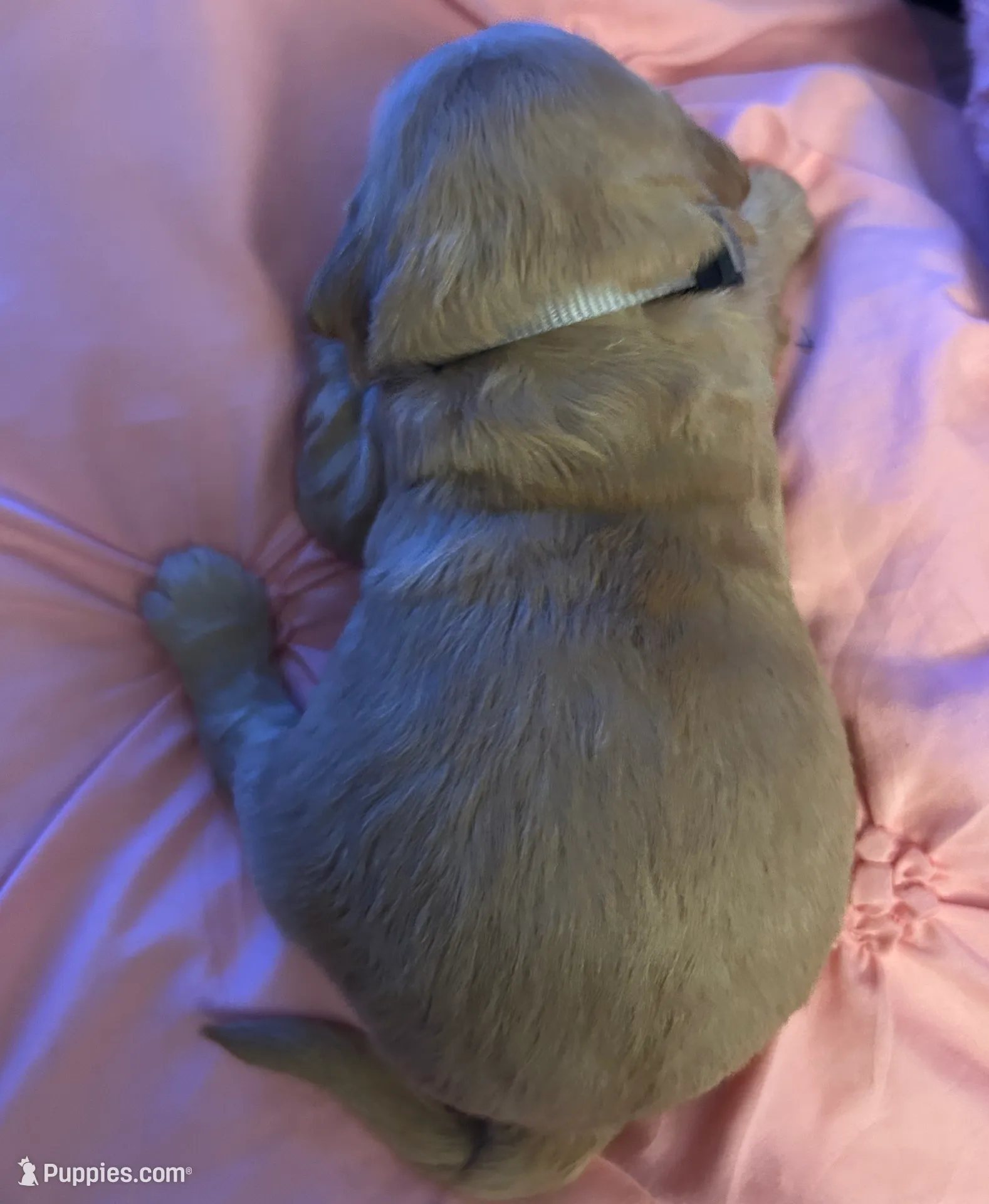 processed/4adb4224-fc1c-4573-b27a-51ac5e453fba/listing/94760921-5379-415f-84da-59aca4b319a4/c8d08779-788c-4fd8-a4c4-a3be8e5ed3e0