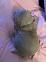 processed/4adb4224-fc1c-4573-b27a-51ac5e453fba/listing/94760921-5379-415f-84da-59aca4b319a4/f1a7e85a-8e8d-4ba3-ac58-4013e7966137