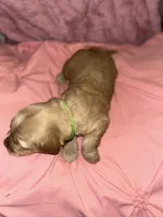 processed/4adb4224-fc1c-4573-b27a-51ac5e453fba/listing/e203ff4b-93b3-42be-bb52-6f4c6515bc99/bda589fb-ee4a-4a30-9a8e-52cb7e887006