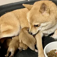 processed/4adc2b93-dd41-4f06-b074-ccef1747b862/facility/0c5809bd-3cde-4f11-9c96-d6a30b43cd4f