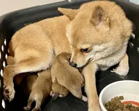 processed/4adc2b93-dd41-4f06-b074-ccef1747b862/facility/0c5809bd-3cde-4f11-9c96-d6a30b43cd4f