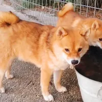 processed/4adc2b93-dd41-4f06-b074-ccef1747b862/facility/48551cf9-26d5-4715-b6d5-699412f5a001