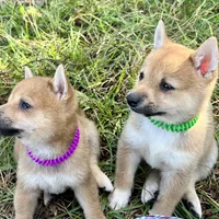 processed/4adc2b93-dd41-4f06-b074-ccef1747b862/facility/9d2ac9c7-453e-4183-b269-640c4696dbff