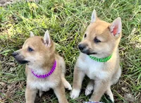 processed/4adc2b93-dd41-4f06-b074-ccef1747b862/facility/9d2ac9c7-453e-4183-b269-640c4696dbff