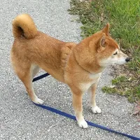 processed/4adc2b93-dd41-4f06-b074-ccef1747b862/facility/c2090320-33a0-44e8-ad77-bb453c2c447a