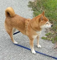 processed/4adc2b93-dd41-4f06-b074-ccef1747b862/facility/c2090320-33a0-44e8-ad77-bb453c2c447a