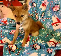 processed/4adc2b93-dd41-4f06-b074-ccef1747b862/listing/14f12c69-1952-40a4-85fb-f1594e48b020/4e7dd48d-c5bf-484a-9dfb-b8a78d9bab79