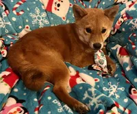 processed/4adc2b93-dd41-4f06-b074-ccef1747b862/listing/14f12c69-1952-40a4-85fb-f1594e48b020/9df29dbc-6045-445a-b8df-54e7c9ea98f0