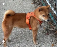 processed/4adc2b93-dd41-4f06-b074-ccef1747b862/listing/14f12c69-1952-40a4-85fb-f1594e48b020/b7060595-7c48-468f-8e76-922c791ff717