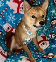 processed/4adc2b93-dd41-4f06-b074-ccef1747b862/listing/14f12c69-1952-40a4-85fb-f1594e48b020/b70fff34-bd50-4f36-9ae2-dd9ec99a2706