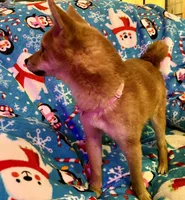 processed/4adc2b93-dd41-4f06-b074-ccef1747b862/listing/89deec54-f208-4ca7-a912-cdcb4ab2b5aa/a6720092-7fe4-409e-9b66-8eefd4163e35