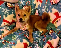 processed/4adc2b93-dd41-4f06-b074-ccef1747b862/listing/89deec54-f208-4ca7-a912-cdcb4ab2b5aa/c53eaa3d-7136-406f-a439-2bf89fd9b569