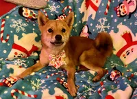 processed/4adc2b93-dd41-4f06-b074-ccef1747b862/listing/89deec54-f208-4ca7-a912-cdcb4ab2b5aa/f188cbb9-af4e-42e8-86ad-f2b6eb9fba5b