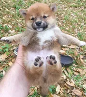 processed/4adc2b93-dd41-4f06-b074-ccef1747b862/listing/9e6a1a0c-87c4-42f5-a469-bd5987f21da2/7c426adf-b684-4c9f-92ff-4591c3fb5c21