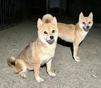 processed/4adc2b93-dd41-4f06-b074-ccef1747b862/listing/b57ca54b-ad98-42b6-9dca-f6f40e9a26a8/1d6387b4-f009-4d68-81da-85175beb4017