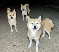 processed/4adc2b93-dd41-4f06-b074-ccef1747b862/listing/b57ca54b-ad98-42b6-9dca-f6f40e9a26a8/240a69f1-994e-4599-955e-6bad84c65abb