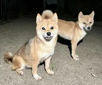 processed/4adc2b93-dd41-4f06-b074-ccef1747b862/listing/b57ca54b-ad98-42b6-9dca-f6f40e9a26a8/e0240694-2372-4009-a1dc-24633db6657a