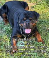 processed/4ae5b136-b12e-42a6-9bef-776597420ab6/listing/559c7724-271a-4c4b-9807-41353db91ad5/5cf62d73-ca79-4d49-8128-7551cd1285e5