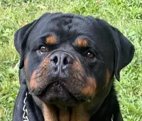 processed/4ae5b136-b12e-42a6-9bef-776597420ab6/listing/559c7724-271a-4c4b-9807-41353db91ad5/b74d2e69-74b8-4501-a01c-8b9e97795335