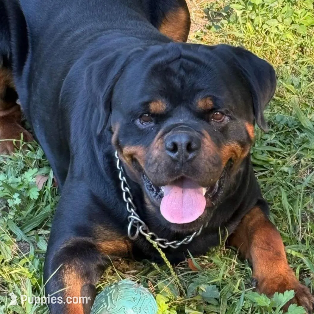 processed/4ae5b136-b12e-42a6-9bef-776597420ab6/listing/d5ce4ecf-c28d-4cc8-8351-01c249fc26a8/5ae6813a-f620-4cf8-a5c0-8d817516615c