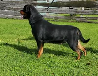 processed/4ae5b136-b12e-42a6-9bef-776597420ab6/listing/d5ce4ecf-c28d-4cc8-8351-01c249fc26a8/8c7e2513-2360-4ee9-9e5b-ea75fdc4bf39