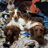 processed/4ae90fc8-ff91-49c8-a5d5-ef1bc6174243/facility/468e429a-c62a-4329-aef5-232a2c0bba60