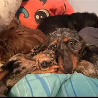 processed/4ae90fc8-ff91-49c8-a5d5-ef1bc6174243/facility/b7d7f40a-5c20-4b57-a04e-f86d9a92ff8a