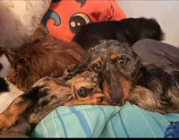 processed/4ae90fc8-ff91-49c8-a5d5-ef1bc6174243/facility/b7d7f40a-5c20-4b57-a04e-f86d9a92ff8a