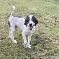 processed/4ae90fc8-ff91-49c8-a5d5-ef1bc6174243/listing/44767b07-8dde-42a8-affe-b73cd24a7c0e/053fb61a-d105-49eb-854c-24d59331b484