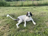 processed/4ae90fc8-ff91-49c8-a5d5-ef1bc6174243/listing/44767b07-8dde-42a8-affe-b73cd24a7c0e/7e71d766-31cc-4e0d-bcbe-e45e1f8da871