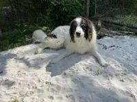 processed/4ae90fc8-ff91-49c8-a5d5-ef1bc6174243/listing/44767b07-8dde-42a8-affe-b73cd24a7c0e/9fea1143-51a1-4f3a-8451-048da9c32984