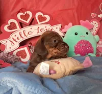 processed/4ae90fc8-ff91-49c8-a5d5-ef1bc6174243/listing/b95a20f9-8d1f-4717-a154-46fd369e7154/1cb6774b-d096-4d79-9f95-42d29a3b328b