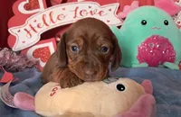 processed/4ae90fc8-ff91-49c8-a5d5-ef1bc6174243/listing/b95a20f9-8d1f-4717-a154-46fd369e7154/cac4a58e-380e-41ec-80a4-4a773f0e4d6d