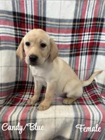 processed/4aea5d90-98ac-42ad-ac61-a14d4404f0b2/listing/94ce34b1-7681-44fb-a9fa-23d4a491a759/ebb031d8-7e5d-4ef9-82e1-0459284ef778