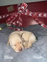 processed/4aea5d90-98ac-42ad-ac61-a14d4404f0b2/listing/e5c7ddac-0ad6-40c3-a9ee-1df5c9dbbac5/218f125c-b2b3-45d2-a38e-d9b72608bb96