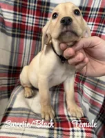 processed/4aea5d90-98ac-42ad-ac61-a14d4404f0b2/listing/e5c7ddac-0ad6-40c3-a9ee-1df5c9dbbac5/68af37f2-8486-414e-8666-227c55786dd6