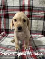 processed/4aea5d90-98ac-42ad-ac61-a14d4404f0b2/listing/e5c7ddac-0ad6-40c3-a9ee-1df5c9dbbac5/a5edd8ea-b8b0-4340-ae7e-bc8c9358e5eb