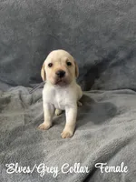 processed/4aea5d90-98ac-42ad-ac61-a14d4404f0b2/listing/e5c7ddac-0ad6-40c3-a9ee-1df5c9dbbac5/cca1977d-fb62-4df3-9252-08421b0f145b