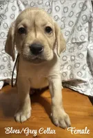 processed/4aea5d90-98ac-42ad-ac61-a14d4404f0b2/listing/e5c7ddac-0ad6-40c3-a9ee-1df5c9dbbac5/e804b2f3-a3e8-4a64-87de-8349d963a189