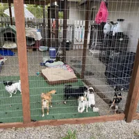 processed/4aec7151-0b87-47b9-9c8a-2b5ad9cd6ed4/facility/06733b30-5d04-47e0-af7f-7cf4909ce1e8