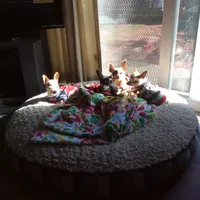 processed/4aec7151-0b87-47b9-9c8a-2b5ad9cd6ed4/facility/5c4e2217-29b2-44f0-b584-a2c649fa6bf9