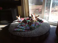 processed/4aec7151-0b87-47b9-9c8a-2b5ad9cd6ed4/facility/5c4e2217-29b2-44f0-b584-a2c649fa6bf9