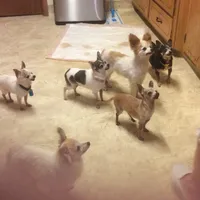 processed/4aec7151-0b87-47b9-9c8a-2b5ad9cd6ed4/facility/72b1363f-b670-4570-b971-7d6ab2dda259