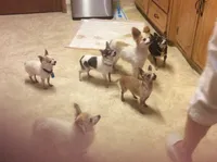 processed/4aec7151-0b87-47b9-9c8a-2b5ad9cd6ed4/facility/72b1363f-b670-4570-b971-7d6ab2dda259