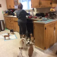 processed/4aec7151-0b87-47b9-9c8a-2b5ad9cd6ed4/facility/806acc17-5e25-4b39-906a-92943ce1990d