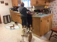 processed/4aec7151-0b87-47b9-9c8a-2b5ad9cd6ed4/facility/806acc17-5e25-4b39-906a-92943ce1990d