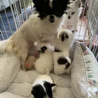 processed/4aec7151-0b87-47b9-9c8a-2b5ad9cd6ed4/facility/a7efe2ed-07b9-4996-bc62-098769fe1275